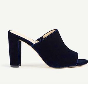 Ann Taylor Hayden velvet mules